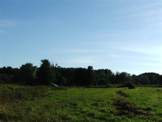 050729-31_0006.JPG