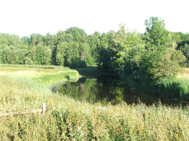 050729-31_0008.JPG