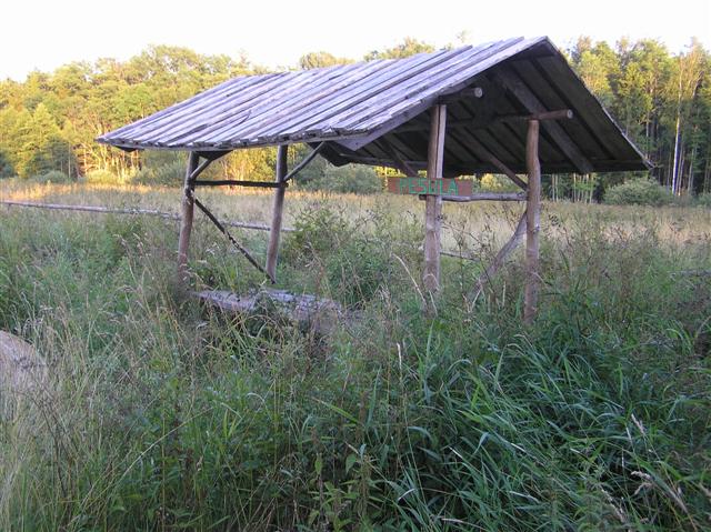 050729-31_0041.JPG