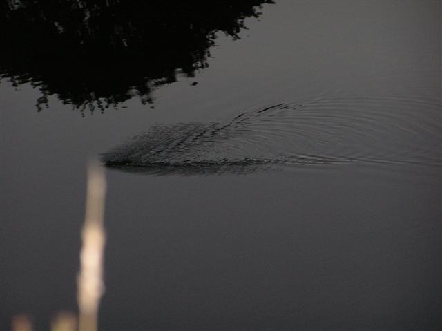 050729-31_0082.JPG