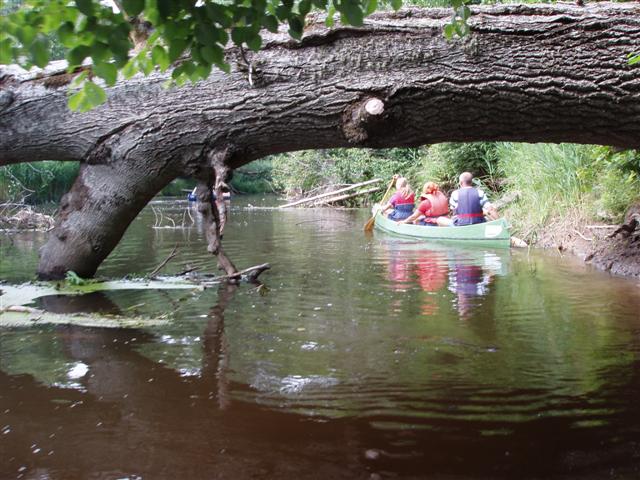 050729-31_0191.jpg