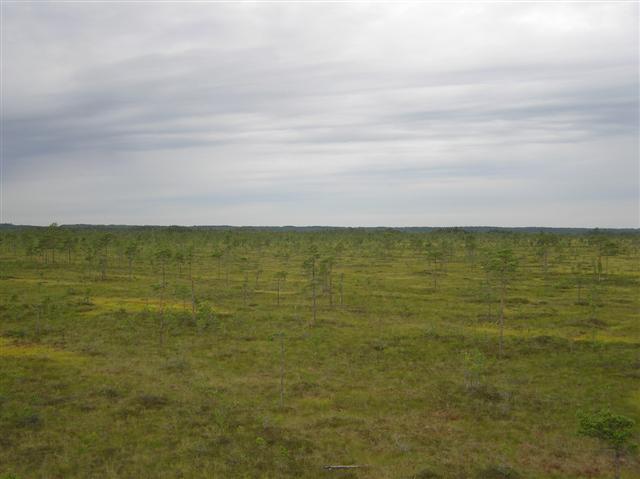 050729-31_0222.JPG