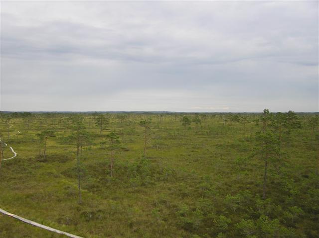 050729-31_0224.JPG