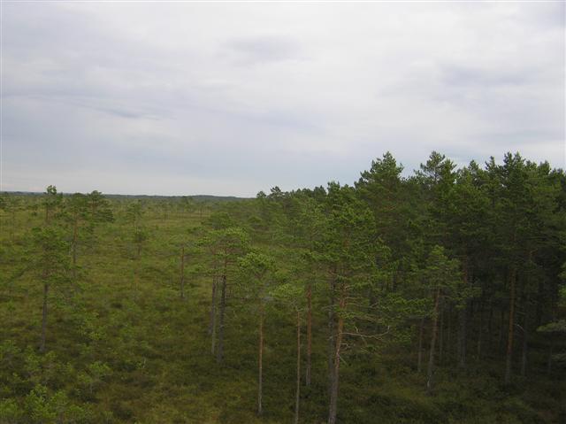 050729-31_0225.JPG