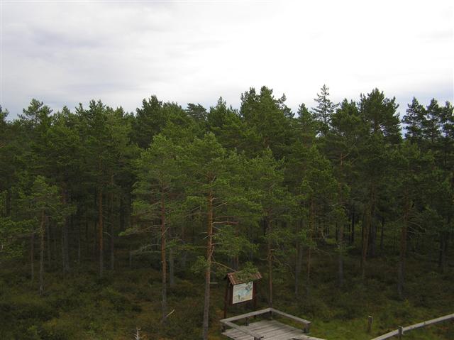 050729-31_0226.JPG