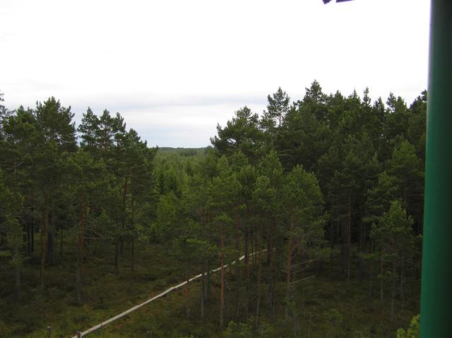 050729-31_0227.JPG