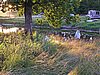050729-31_0042.JPG
