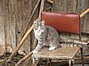050729-31_0113.JPG