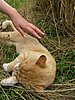 050729-31_0136.JPG