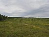 050729-31_0221.JPG