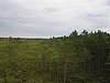 050729-31_0225.JPG