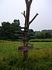 050729-31_0260.JPG
