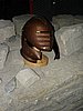 051230_071.JPG