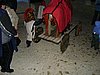 051230_075.JPG