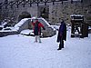 051230_079.JPG