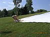060708_087.jpg