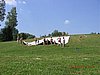 060708_109.jpg