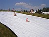 060708_117.JPG