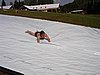 060708_121.JPG