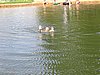 060708_160.jpg