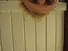 060708_163.jpg