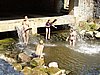 060708_169_012.JPG
