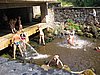 060708_170.jpg