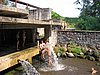 060708_174.jpg