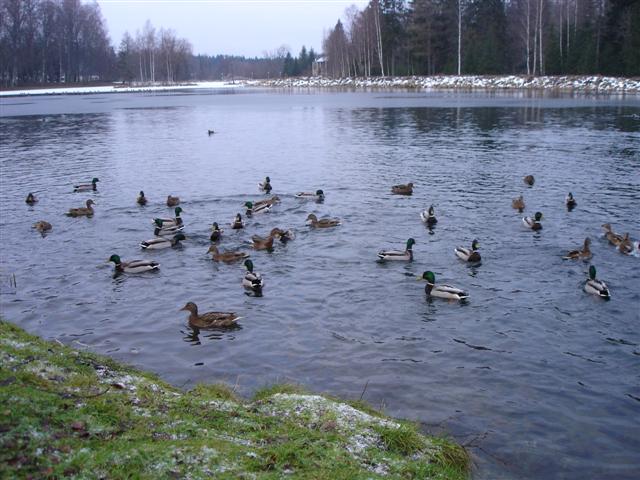 061230_001.JPG