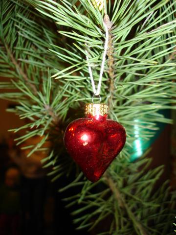 061230_057.JPG