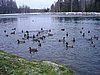 061230_001.JPG