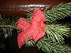 061230_034.JPG