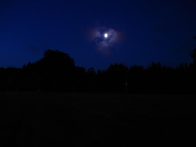 070707_037.JPG