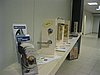 050831_02 (Small).JPG