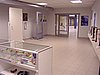 051124_04 (Small).JPG